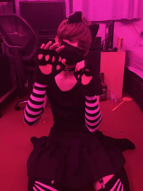 Felt cute, might harass my owner for hedpats then bite him later by Aboyinaskirtwithagun