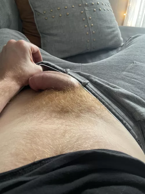 Felt like pulling my pants down by nopenopenope247