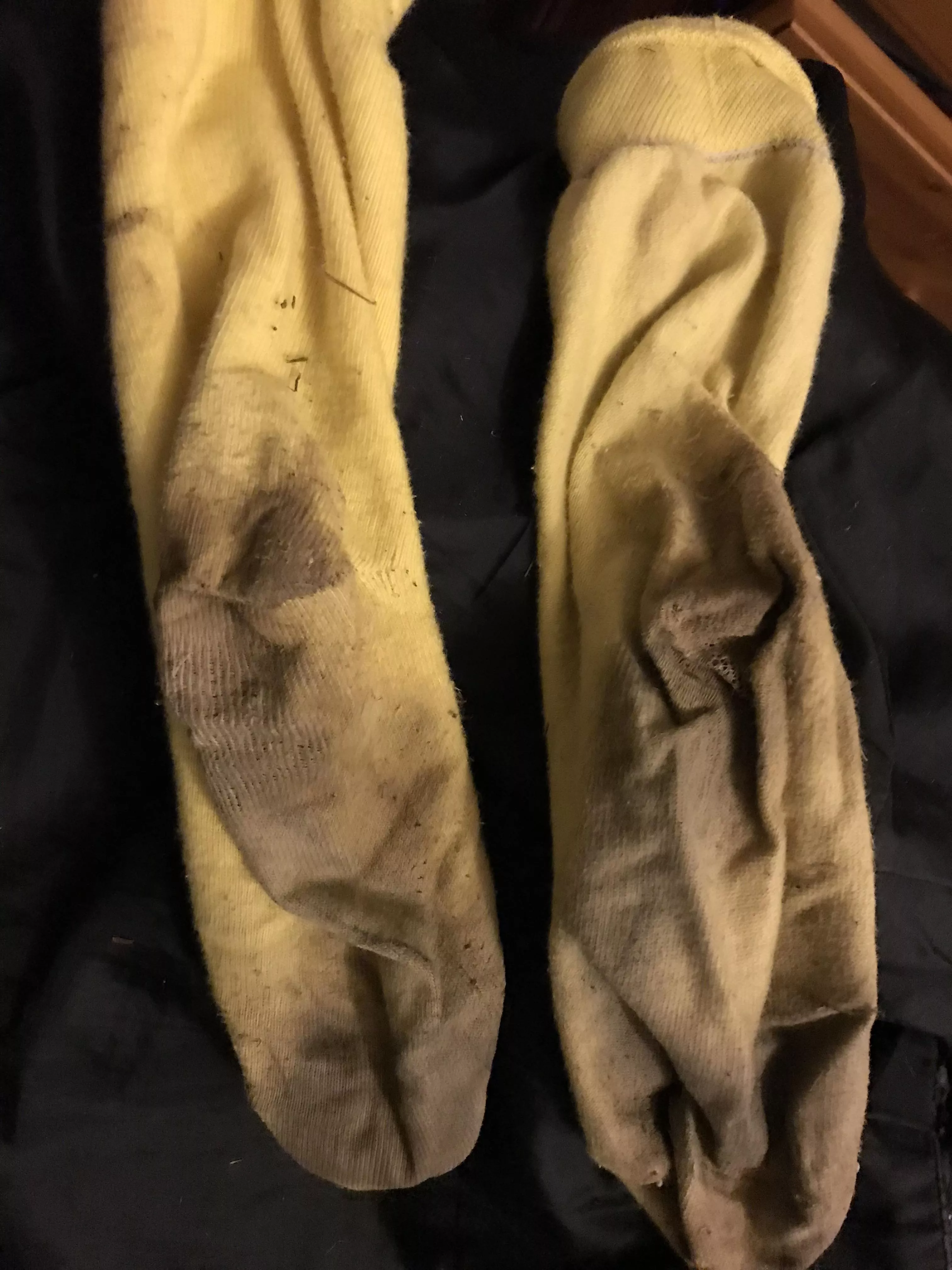 [female] Almost 2 weeks old a week and a half my god do they stink 😈 love it don’t you posted by Xxcatthyx