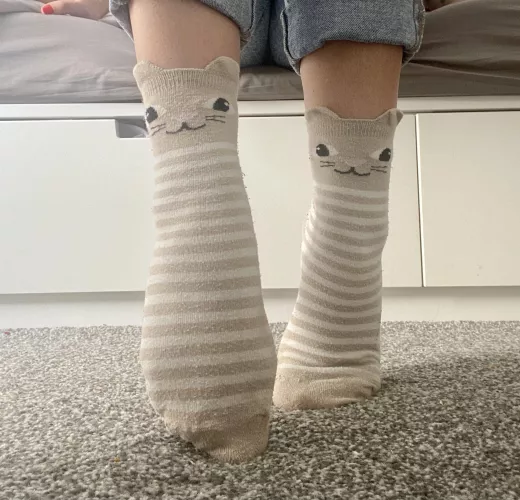 [Female] Who wants to see my … socks 🐱 by TheOutdoorFootGirl