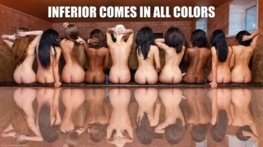 Feminism decries patriarchy and promises equality to all, like a good politician. Patriarchy actually treats all women equal, treats all women as usable and worthwhile objects, no matter the differences with the only exception that she knows her place an by Nerdy_sadist8