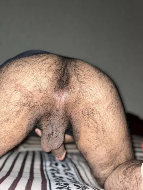 Fertilize my bussy daddy by actually_bigpp