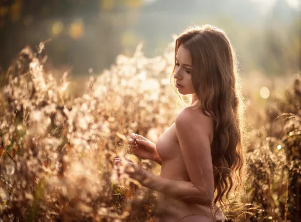 Fields of Gold by Just-F_in-Do-It