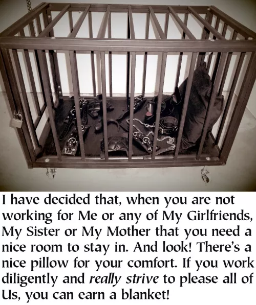 Finally, a space to yourself! by cbtok