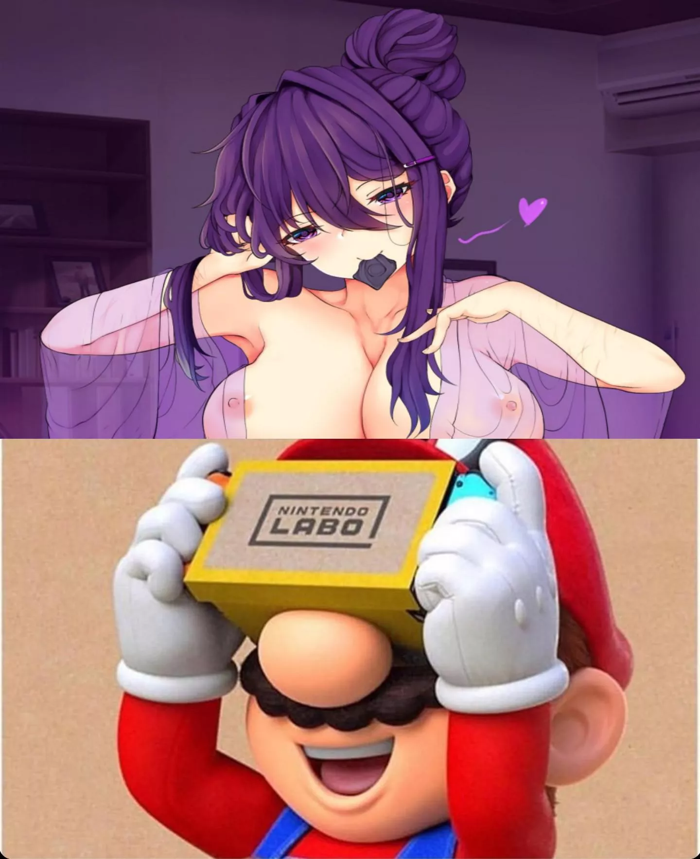 Finally found a good use for Labo. (Artwork by Crunnix) posted by DxwnShot