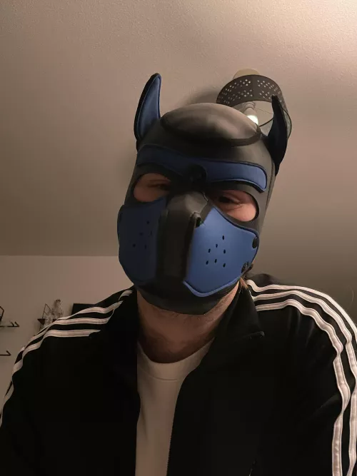 Finally got a Mr S, awoo by Jo37123