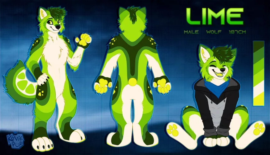 Finally got my first ref sheet done, by Kovie pup! Links in the comments. by Larax22