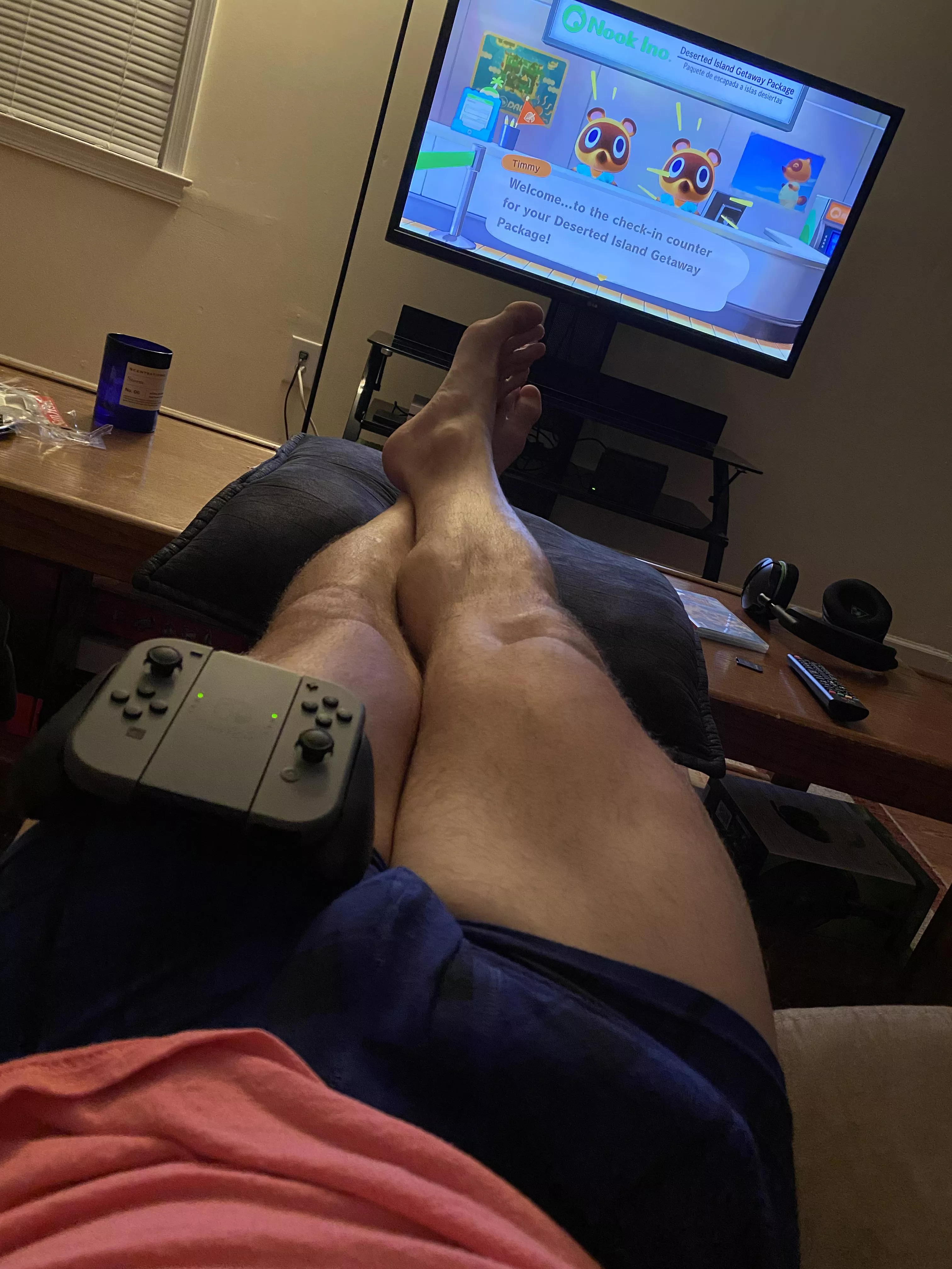 Finally got my Nintendo Switch! Time for some Ani[m]al Crossing!! posted by Shark_Tank_321