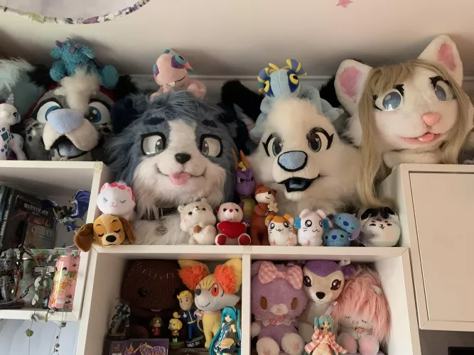 Finally have my four girls together on the same shelf, how do you store your fursuits? by HimeGriffin