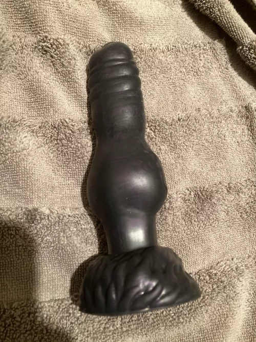 Finally knotted my s/m Austin for the first time wish I could have gotten a pic or video by godisdead666420