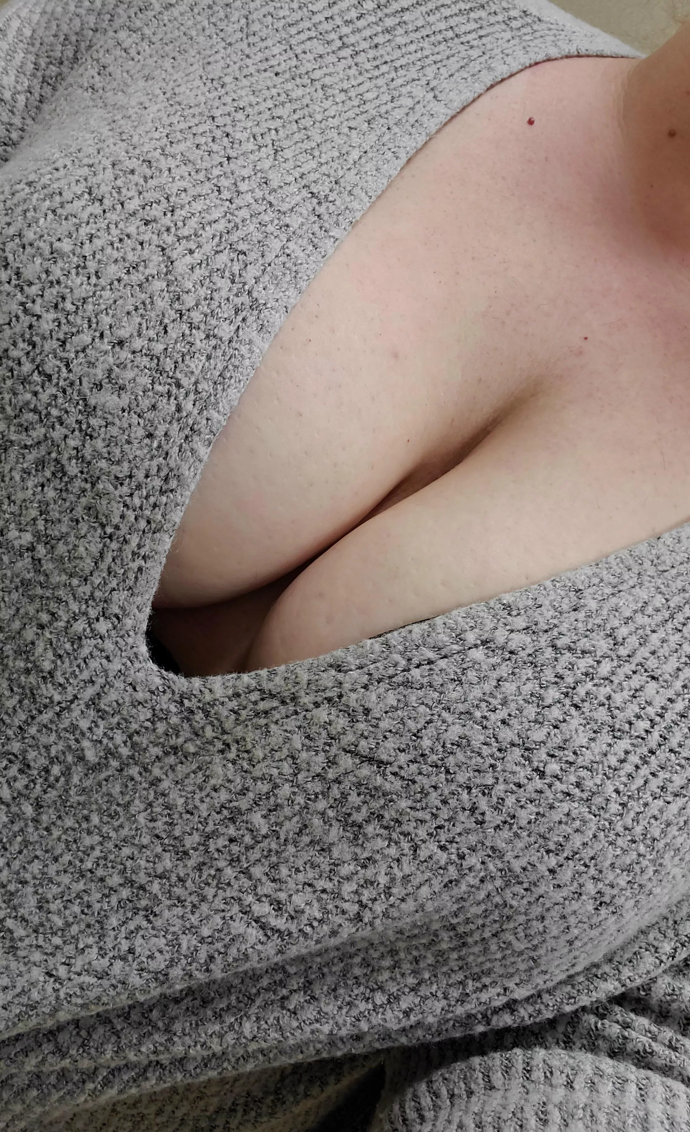 Finally some sweater puppy weather! 🐶 posted by gebamami