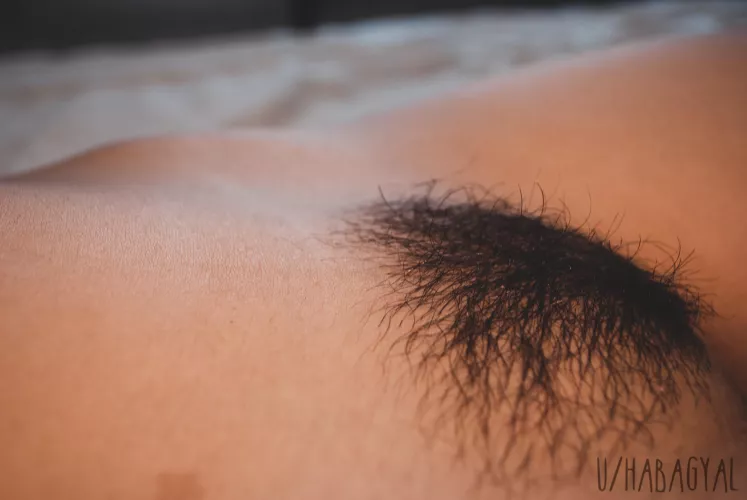 First bush pic on Reddit :) by habagyal69