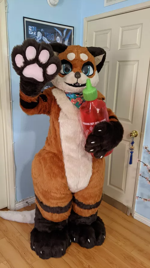 First ever suit arrived :3 by Ezraeia