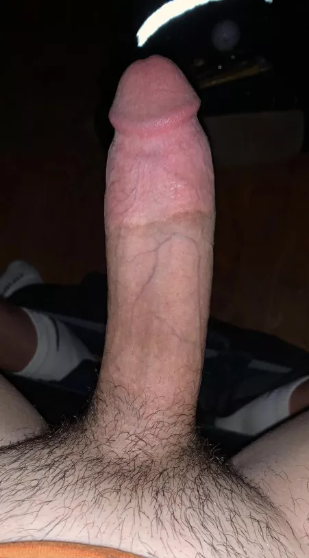 First impressions? by harryg245