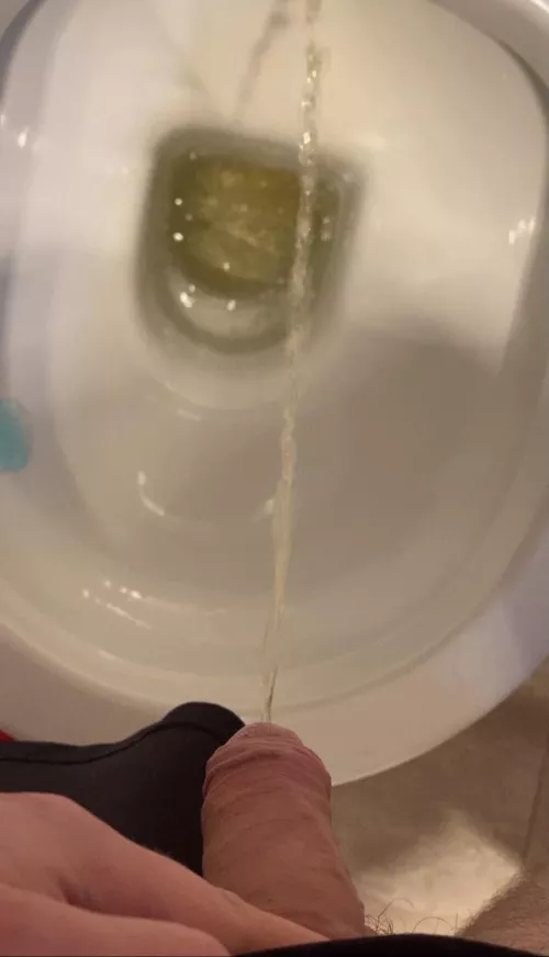 First piss of the day, too rainy for outdoors 😢 by Ancient-District7182