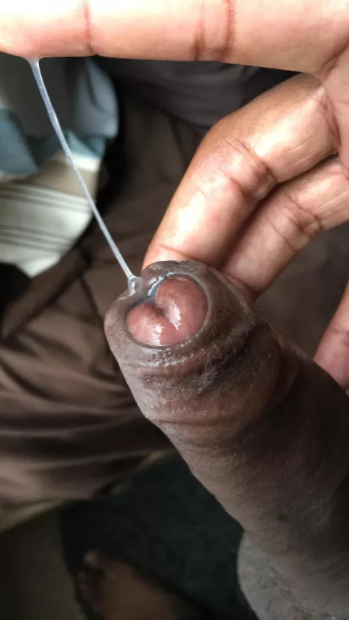 First post here by Ikib