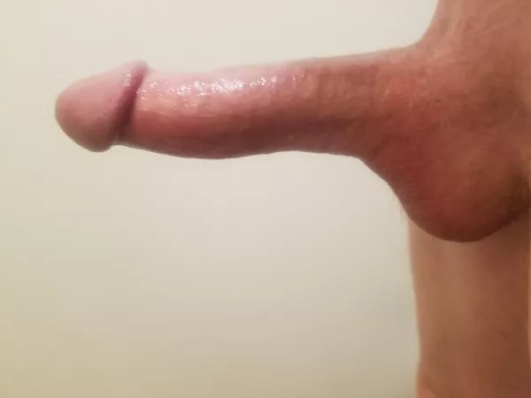 First post here hope you like it by Even-Ad6608