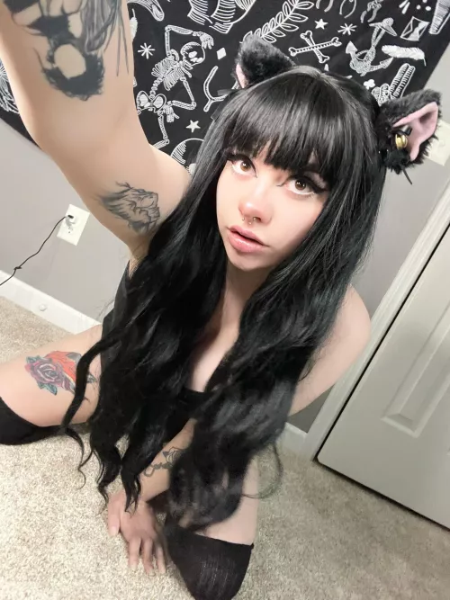 First post here! I felt cute with cat ears ☺️ by jisatsuwaifu