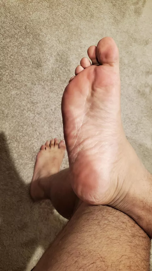 First post here, what do y'all think? by NOVAdesi1993