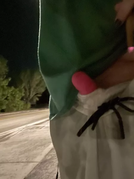 first post.. love having my toy in during my walk… (37f) by AlwaysCurious33