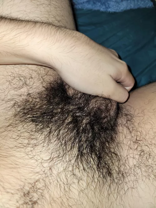 First post what do yall think by arsene45