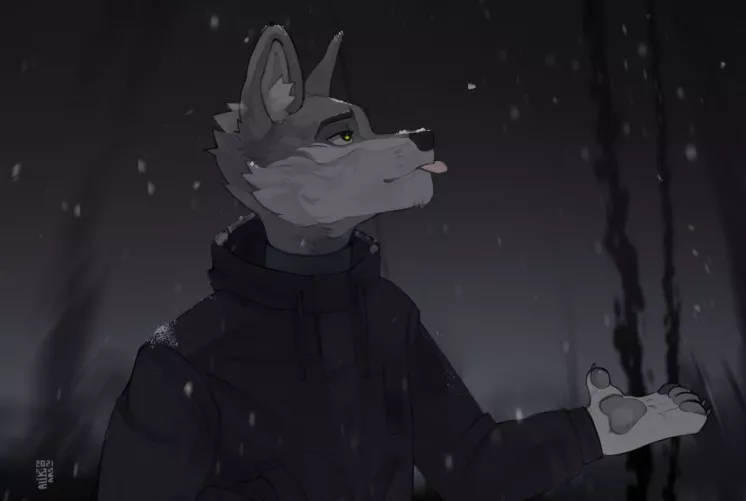 First snow By AlikArs by foxe65