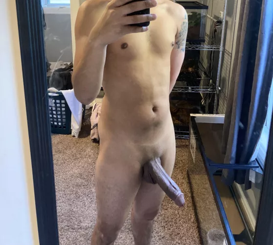 First time Bull hmu M4F Iowa by Nononsense74