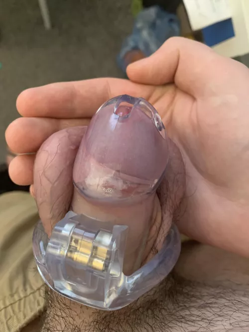 First time in a cage! Opinions? by Stinky_yellow