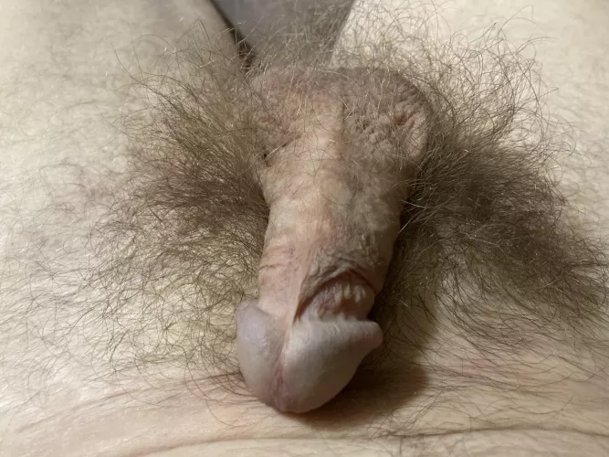 First time posting by JDWNORTH48