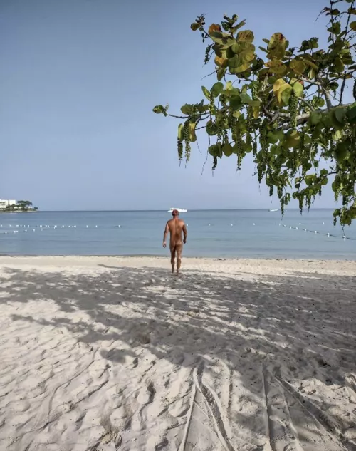 First time posting. by LCANTR