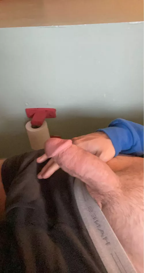 First time softies here by DasHungOne