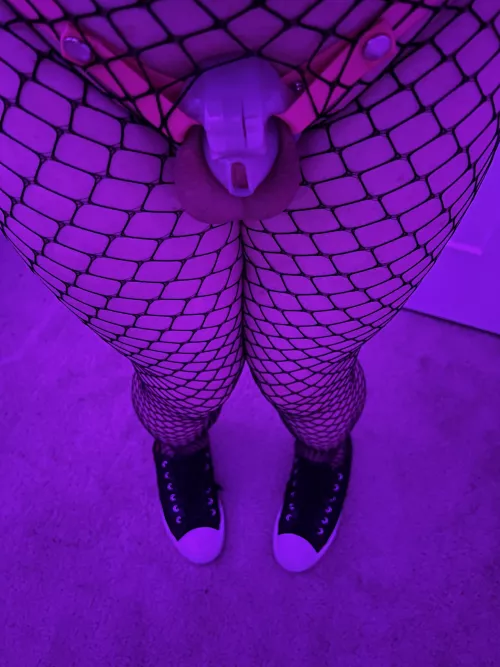 Fishnet Friday in full effect by funkylasers