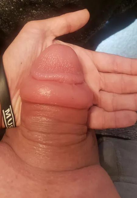 Flaccid, short and beyond dummy thicc by jackaltank