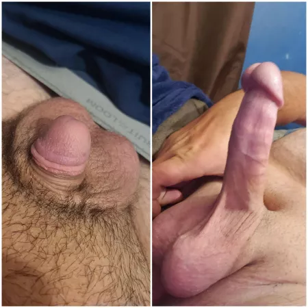 Flaccid to Hard. What do yall think? (21) by Little_Membership404
