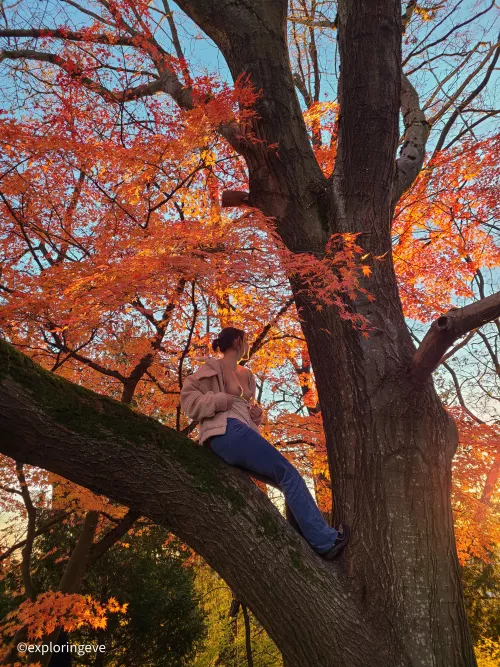 Flashing my tits to passerby's in the park 🙈 by ExploringEve0