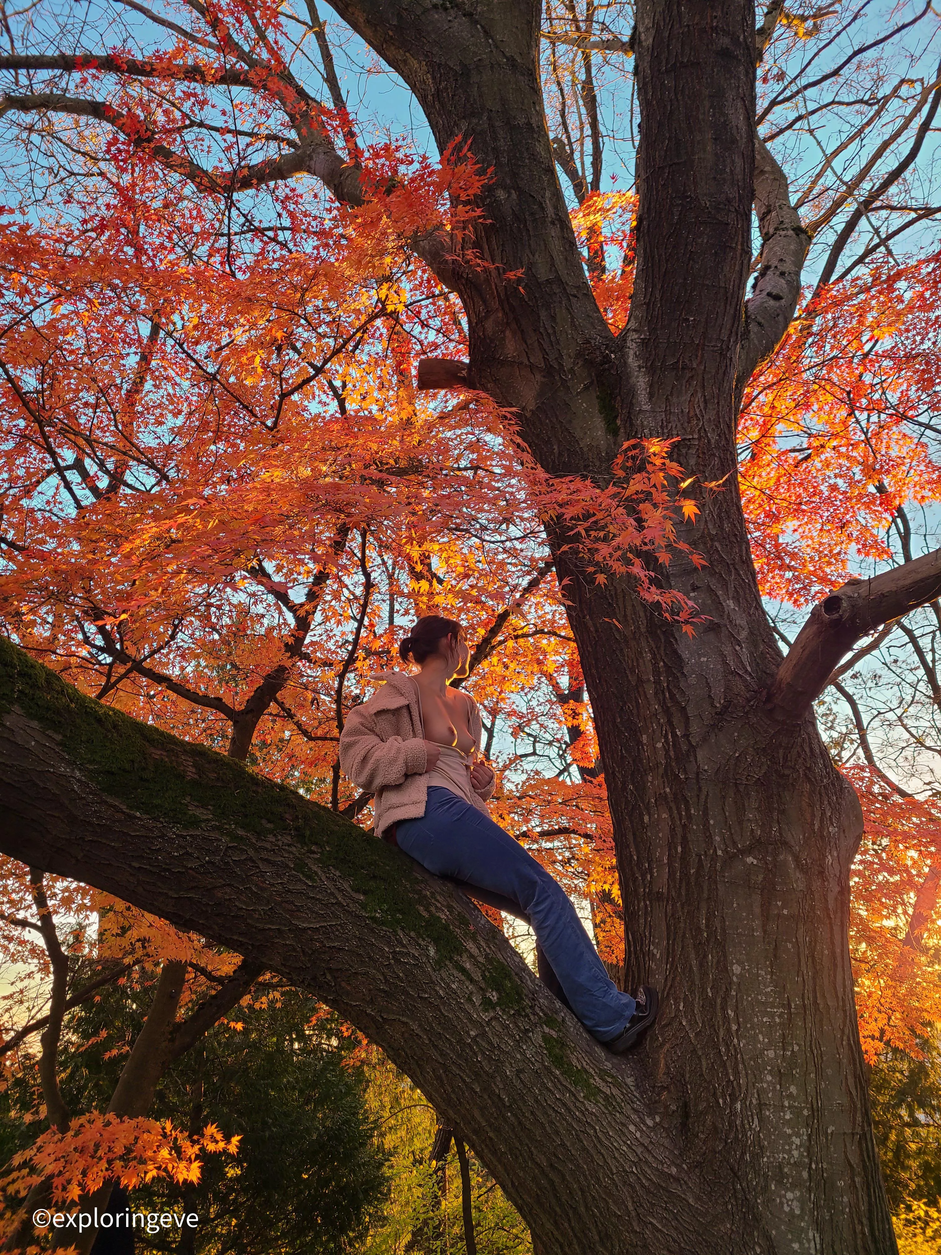 Flashing my tits to passerby's in the park 🙈 posted by ExploringEve0