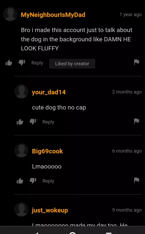 Fluffy dog by Just-Airline573