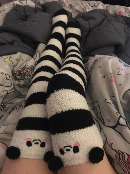 Fluffy panda socks 🖤🤍 by i-ate-the-ether