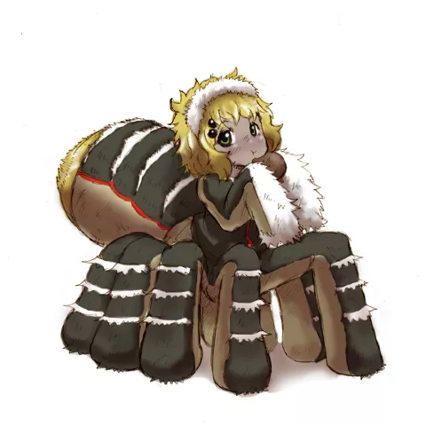 Fluffy Spider posted by spiderbutt_