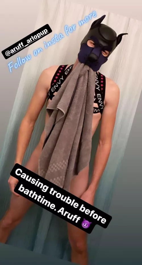 Follow my Instagram @aruff_arlopup 🐶🦴 Aruff! by Calm-Charity1355