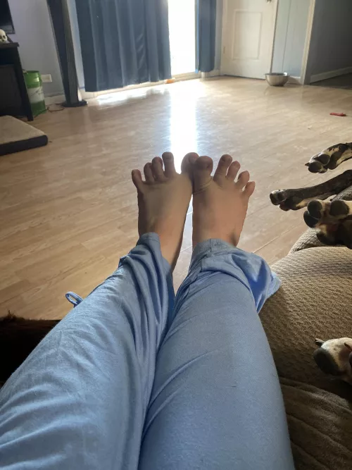 Foot fetish gang by SolaG1998