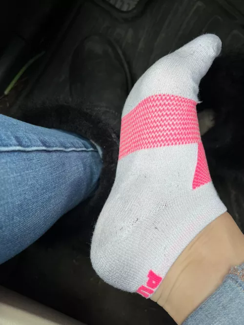 For all you smelly sock and ugg lovers. Here's what day 2 looks like. DM me if you want these or to have any curiosity. They're kinda cheesy already. PinkPonySocks is here for you. by PPS-sales