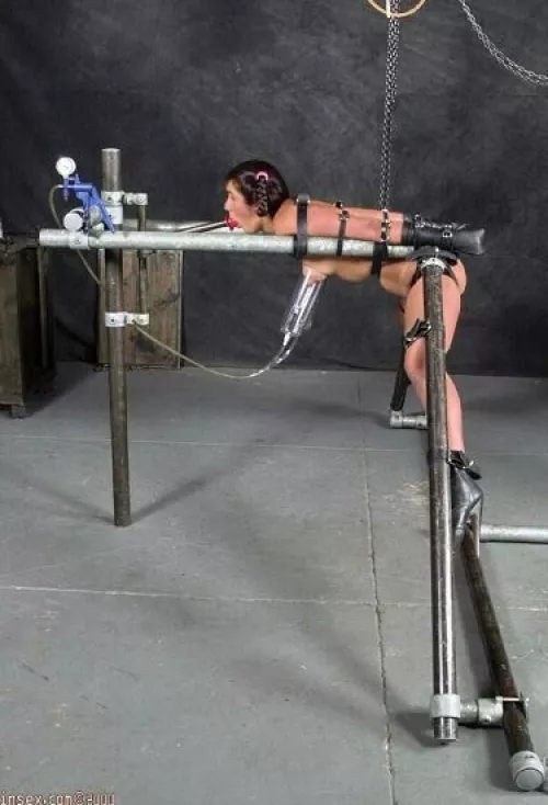 For maximum efficiency and hucow pleasure, combine blowjob training with milking! by demon-strator