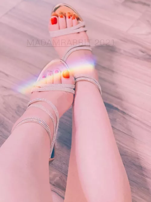 For my devoted by MadamRabbitx