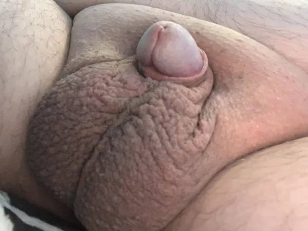 For the 3 people who…fuck that. Enjoy a horny little cock. [50] by innie-alpha