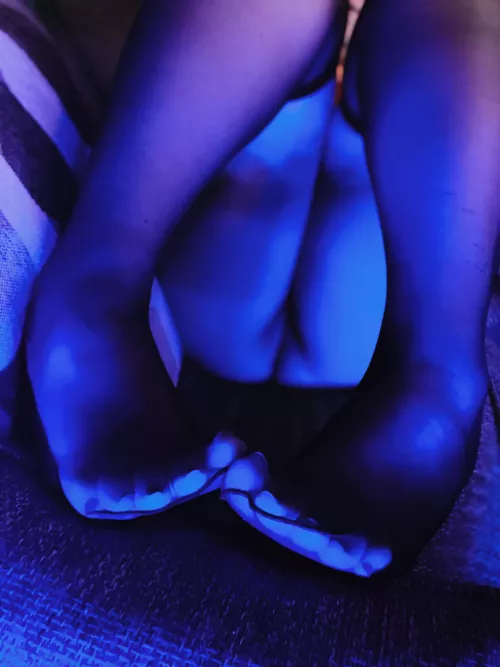 For you filthy animals! 🎄 by anonmissfox