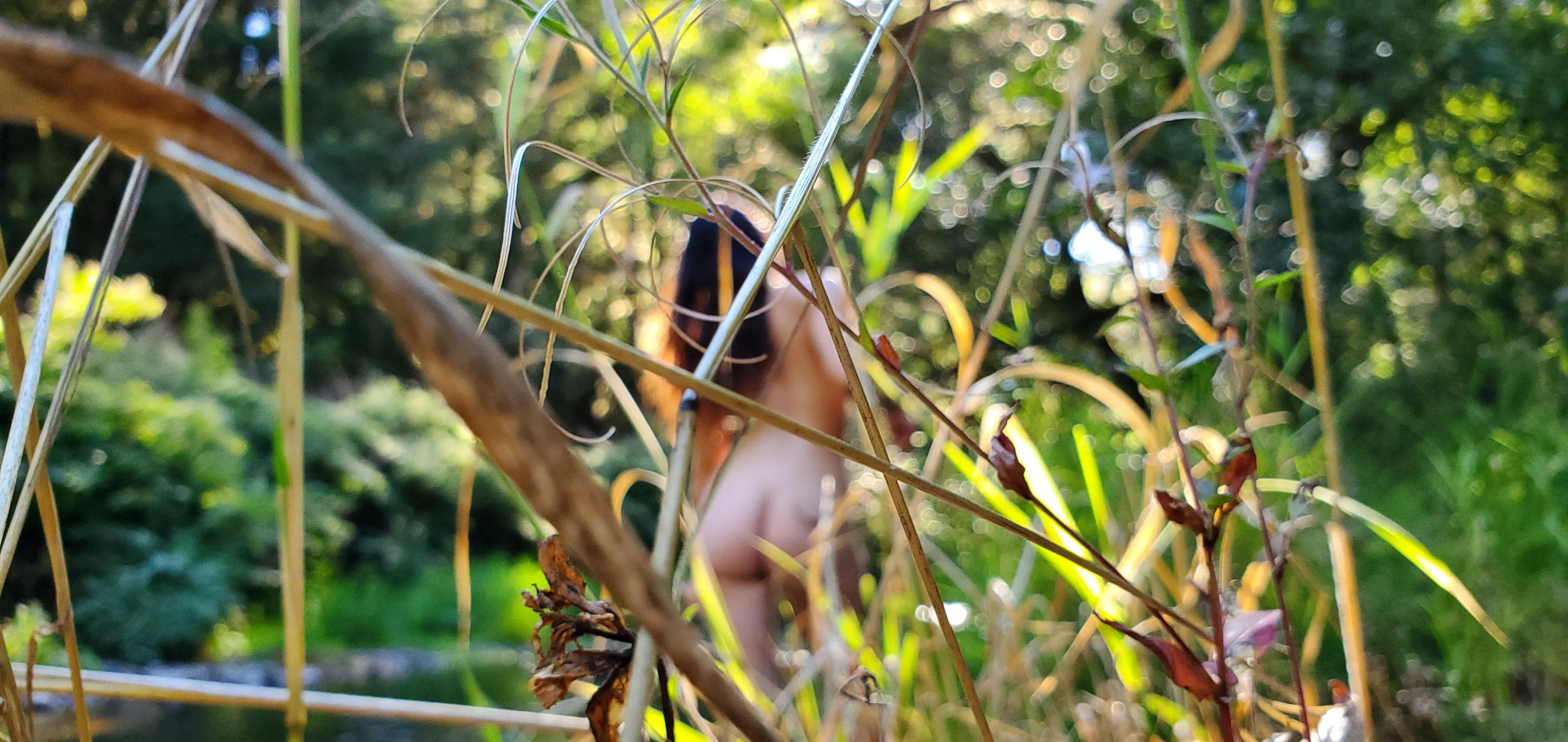 Foraging season is upon us 🍄 posted by CoupleofKrows