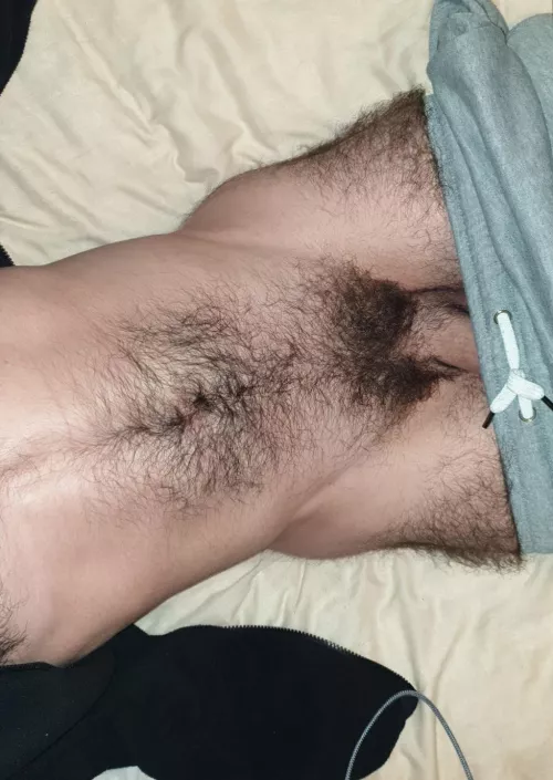 Forest and wood? by Scottishbrieflad