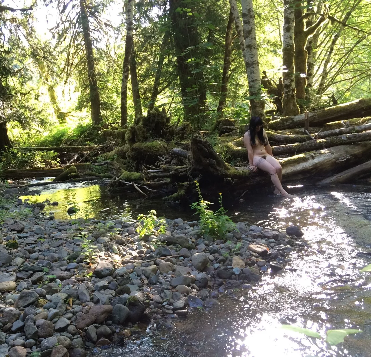 Forest Brook posted by rbauer0285