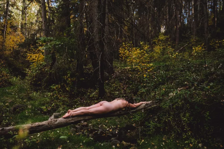 Forest Bum by Bravecupcake3344